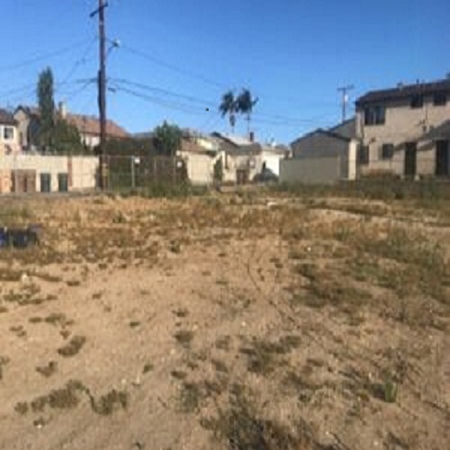 Western-10840-Looking-at-the-East-Property-Line.2-300x225